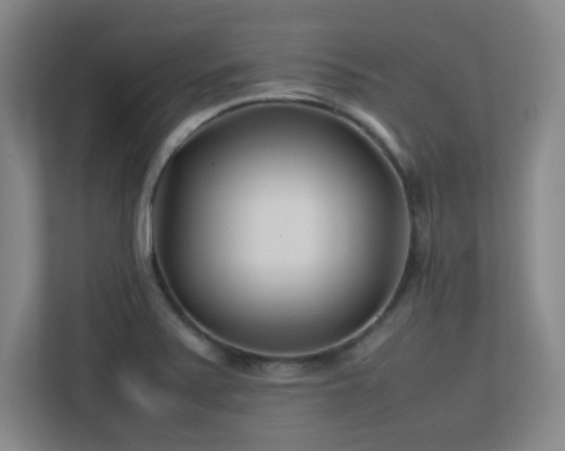 X0000113211371200909101123