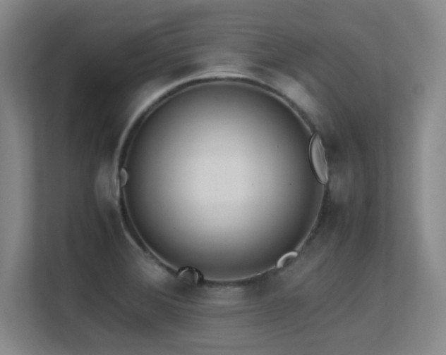 X0000113211372200909101123
