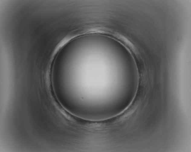 X0000113211373200909101123