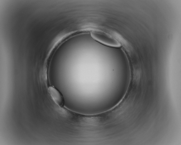 X0000113211376200909101123