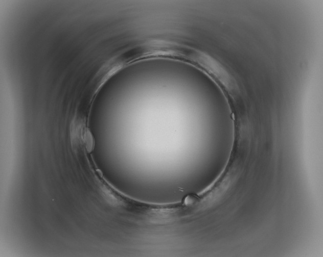 X0000113211377200909101123