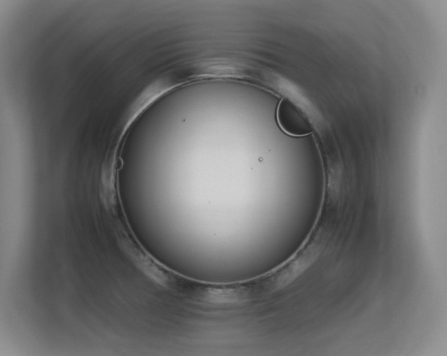 X0000113211378200909101123