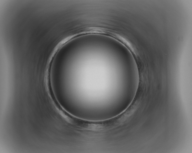X0000113211379200909101123