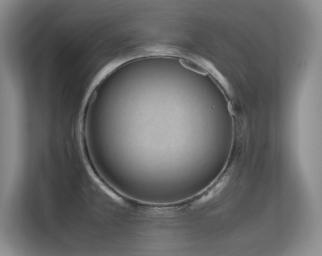 X0000113211381200909101123