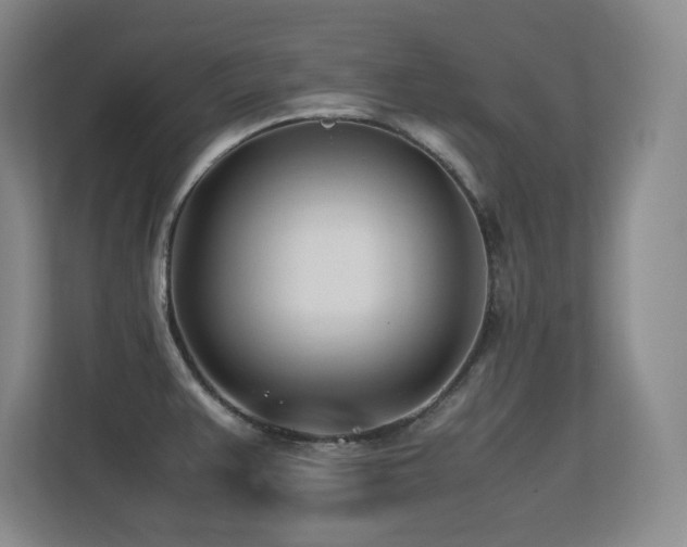 X0000113211383200909101123