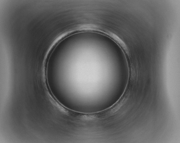 X0000113211384200909101123