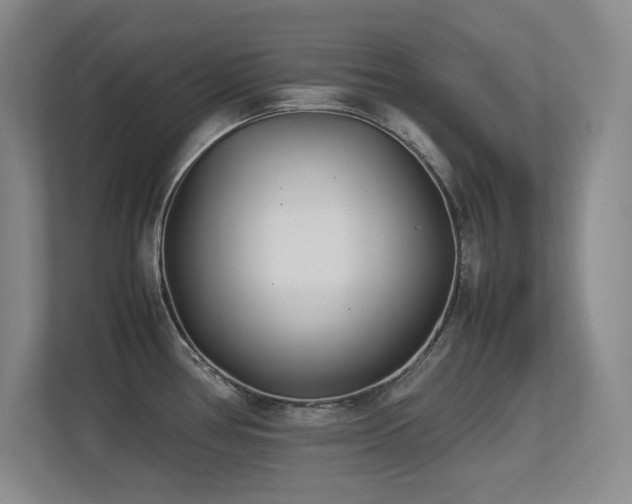 X0000113211386200909101123