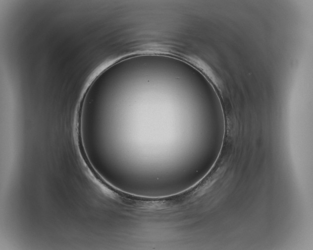 X0000113211387200909101123