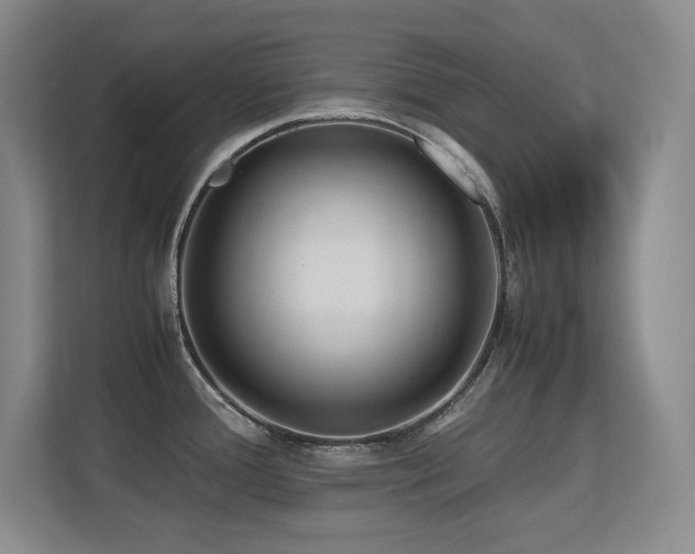 X0000113211388200909101123