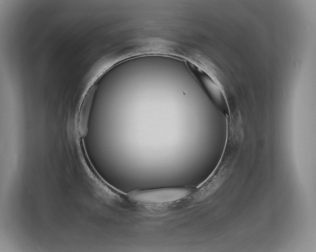 X0000113211389200909101123