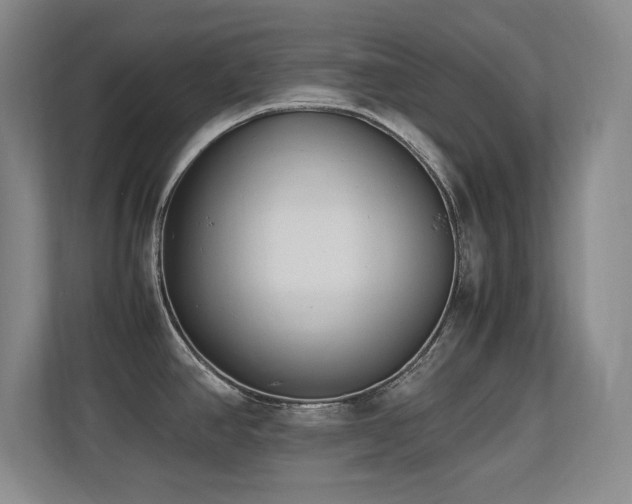 X0000113211390200909101123