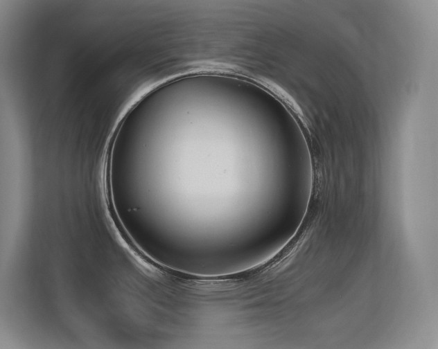 X0000113211391200909101123