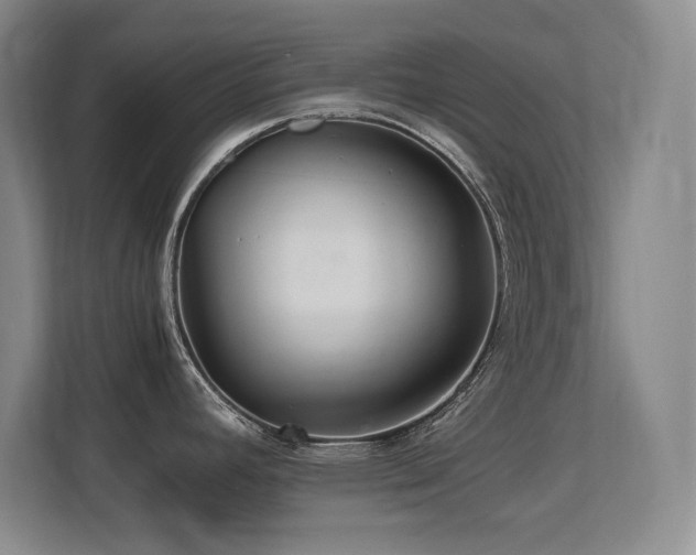 X0000113211392200909101123