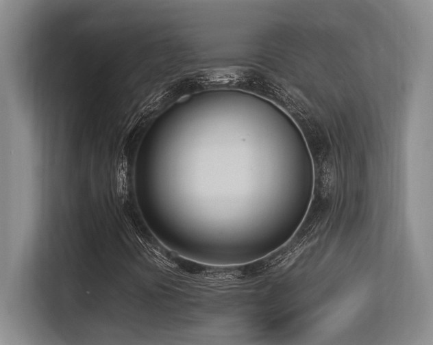 X0000113211394200909101122