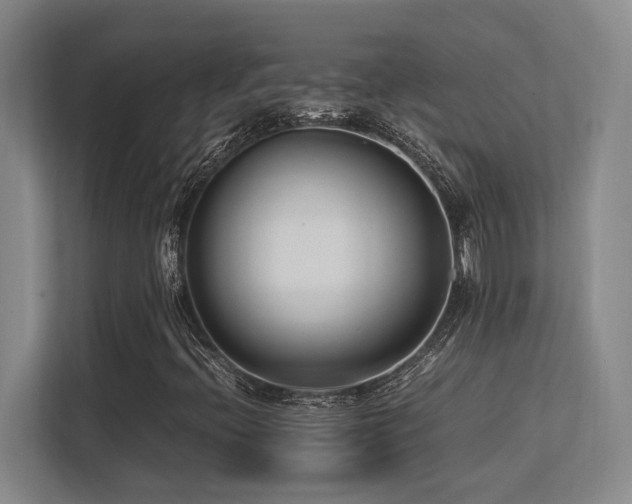 X0000113211396200909101122