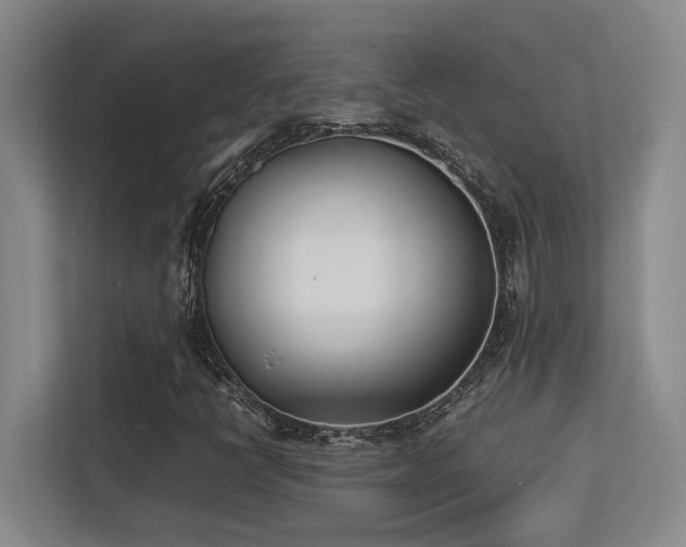 X0000113211398200909101122