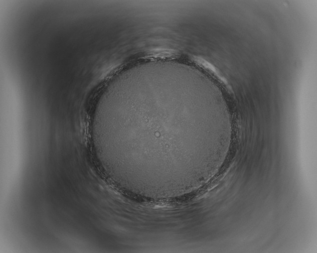 X0000113211399200909101122