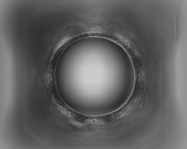 X0000113211400200909101122