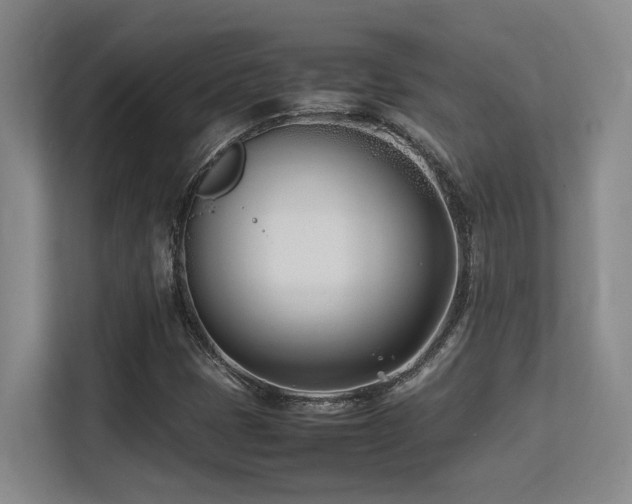 X0000113211401200909101122