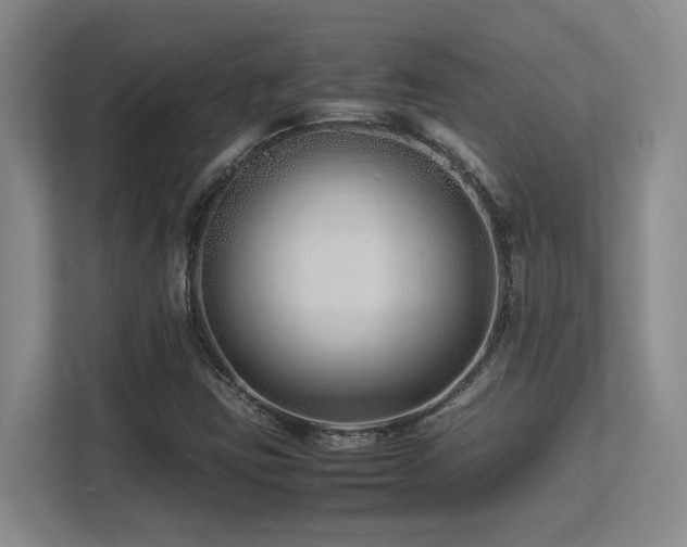X0000113211403200909101122