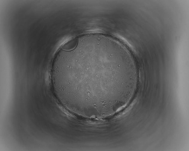 X0000113211405200909101123