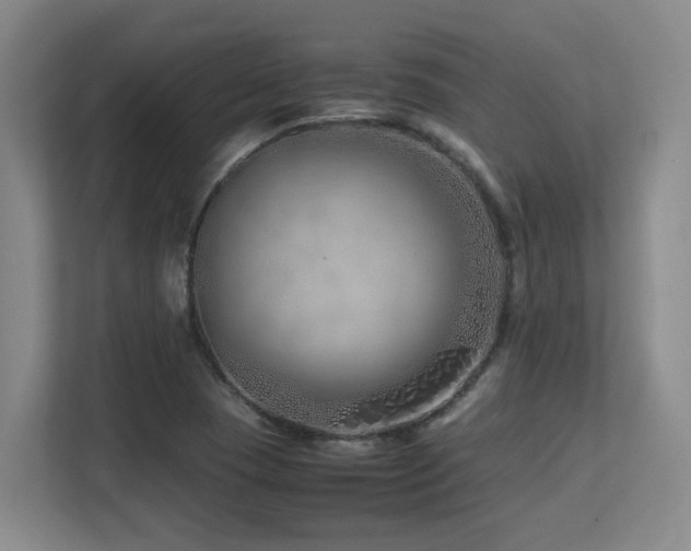 X0000113211409200909101123