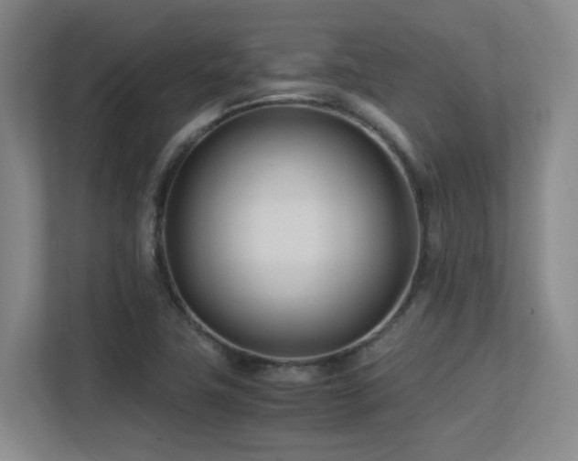 X0000113211411200909101123