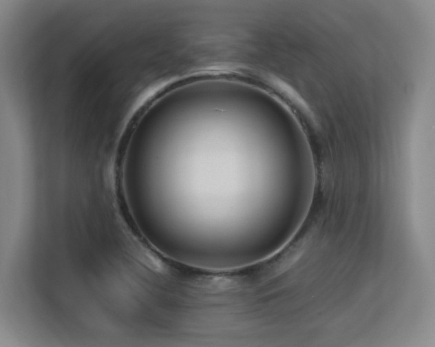 X0000113211412200909101123