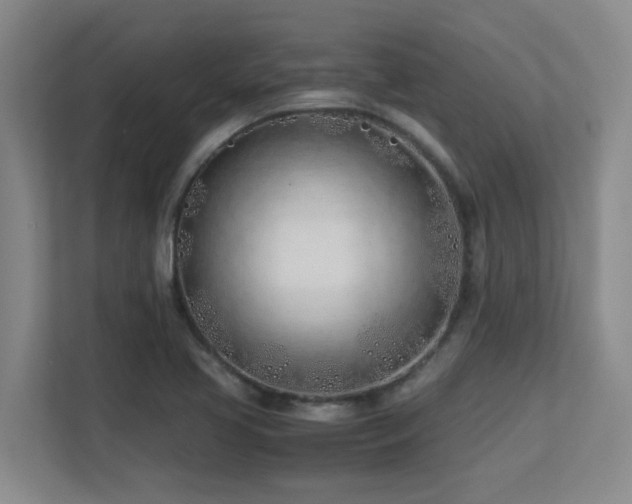 X0000113211413200909101123