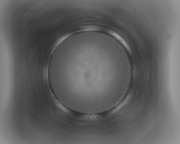 X0000113211417200909101123