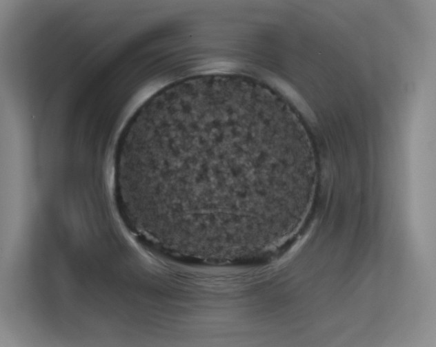 X0000113211418200909101123