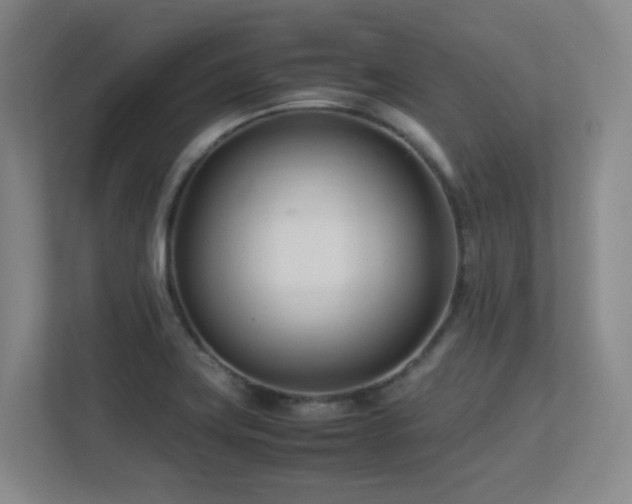 X0000113211419200909101123