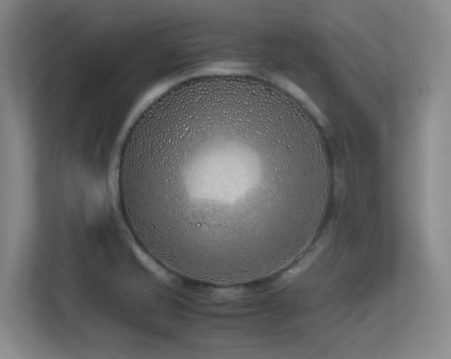 X0000113211421200909101123