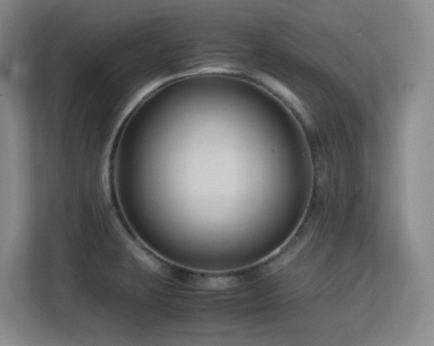 X0000113211423200909101123