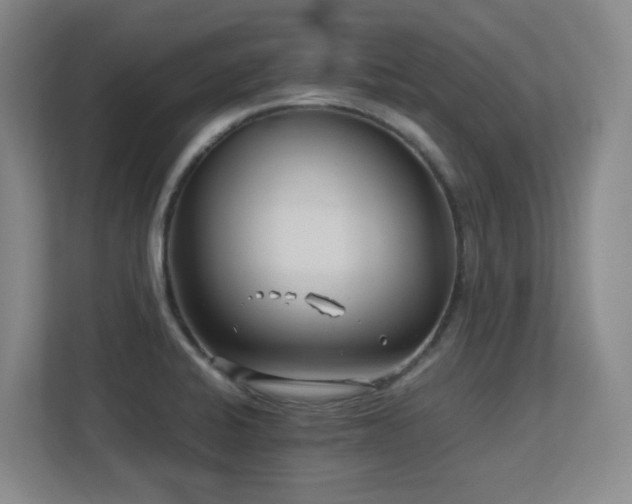 X0000113211424200909101123