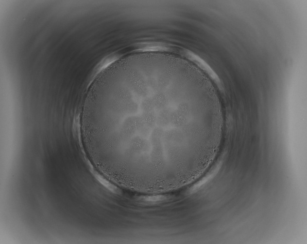 X0000113211425200909101123