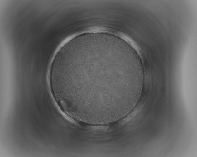 X0000113211429200909101123