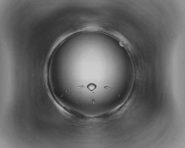 X0000113211430200909101123