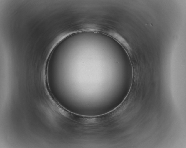 X0000113211431200909101123