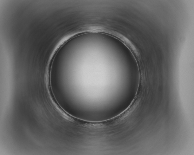 X0000113211432200909101123