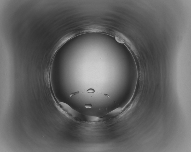 X0000113211433200909101123