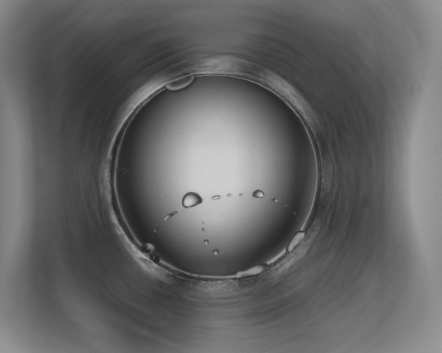 X0000113211434200909101123