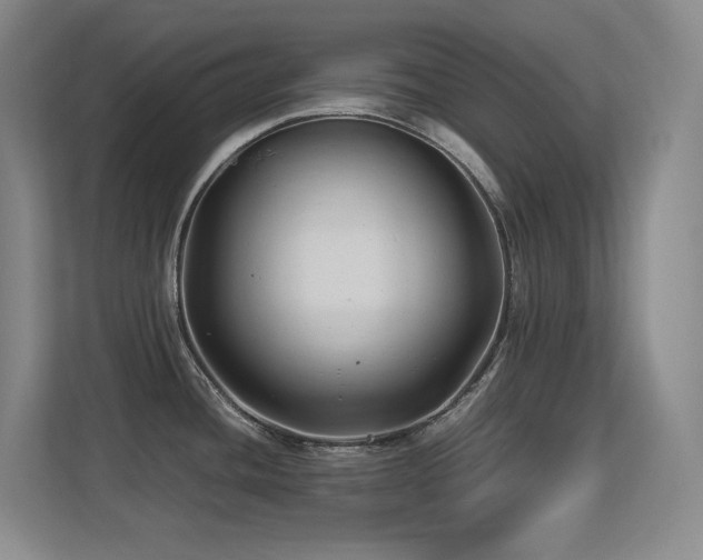 X0000113211436200909101123