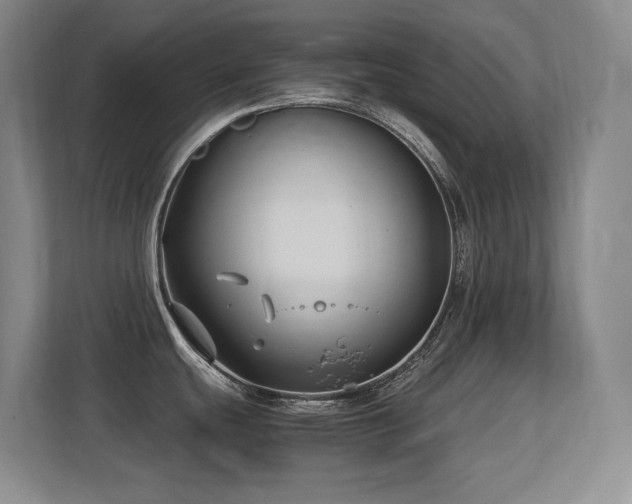 X0000113211439200909101123