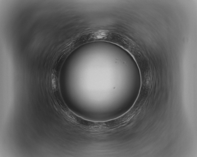 X0000113211442200909101122