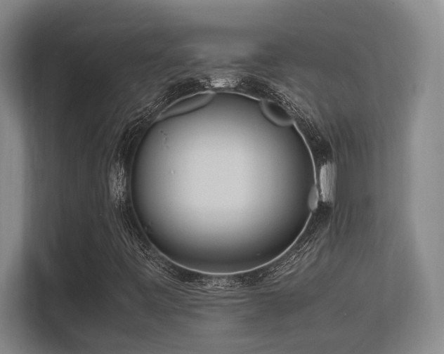 X0000113211443200909101122