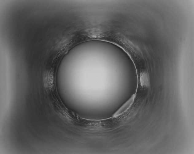 X0000113211444200909101122
