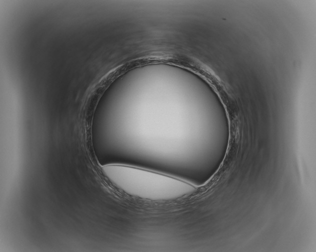 X0000113211448200909101122