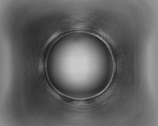 X0000113211450200909101122