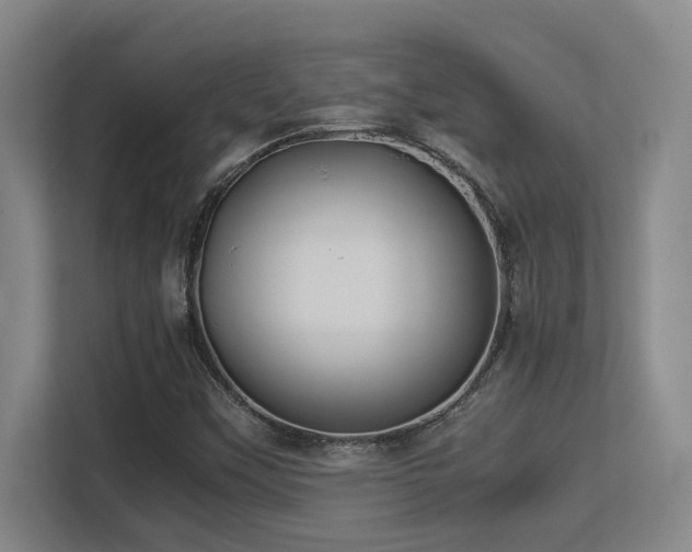 X0000113211451200909101122